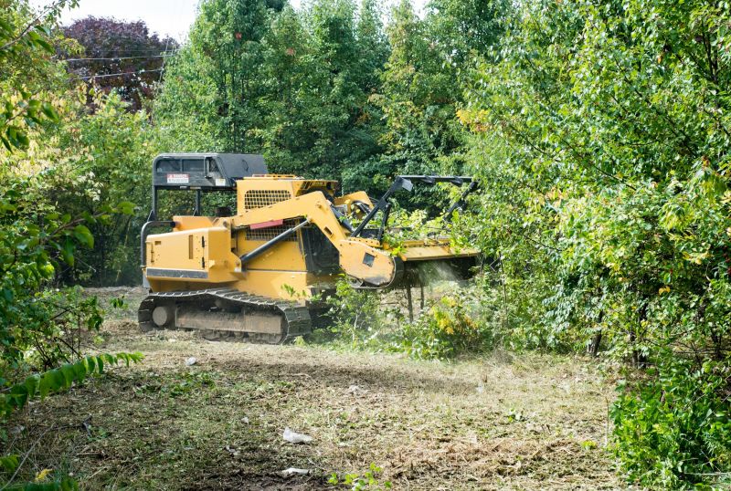 Advanced Machinery for Heavy-Duty Clearing