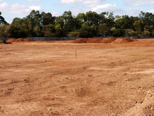 Field Clearing in Glen Allen