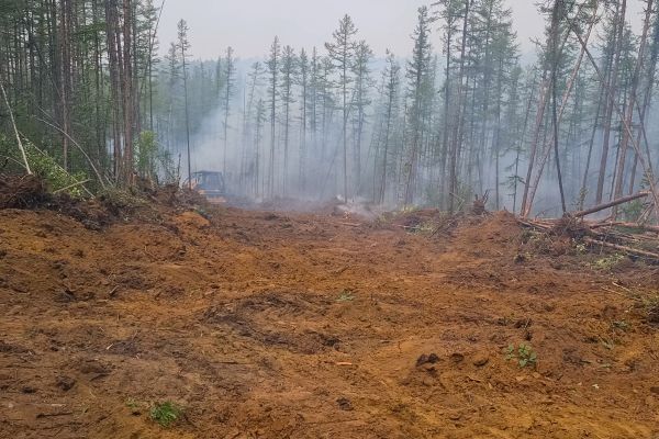 Hill Clearing in Glen Allen