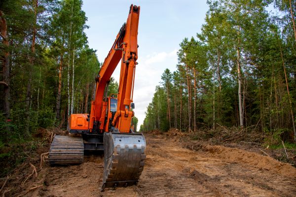 Backhoe Land Clearing in Glen Allen